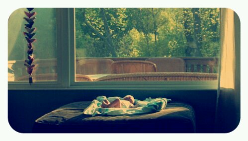 p20120420-232719.jpg image