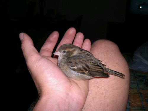 165524583103_MO.jpg image