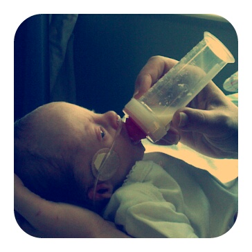 p20120503-222409.jpg image