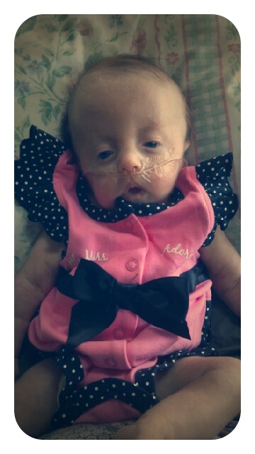 p20120621-234317.jpg image