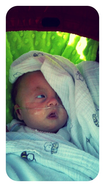 p20120820-222625.jpg image