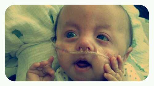 p20120828-235239.jpg image