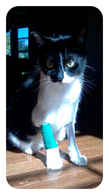 p20120910-232619.jpg image