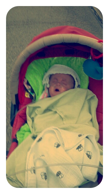 p20120926-022844.jpg image