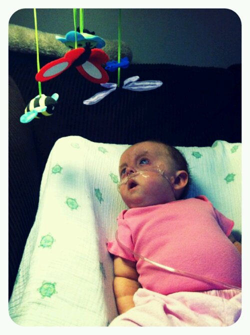 p20120926-023154.jpg image