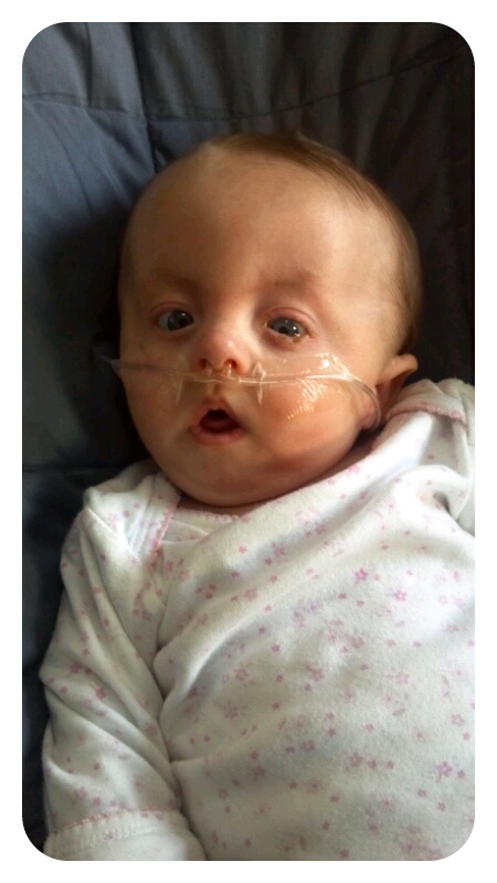 p20121024-061751.jpg image