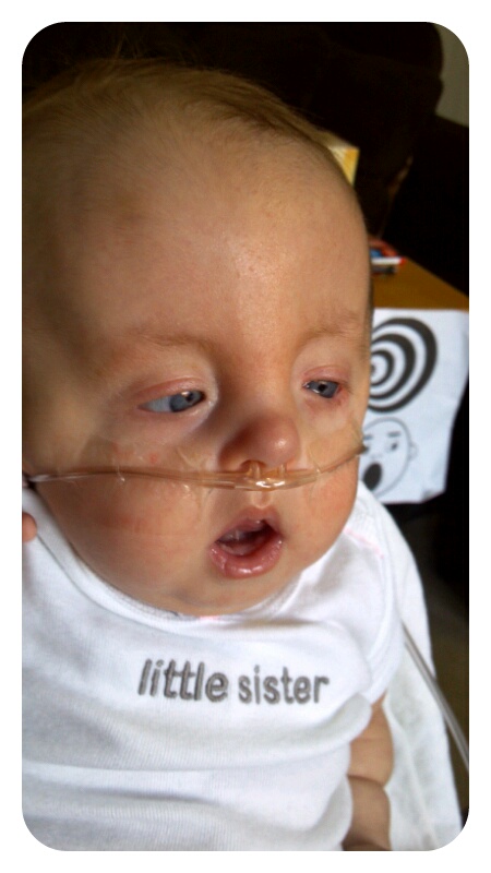 p20121024-061836.jpg image