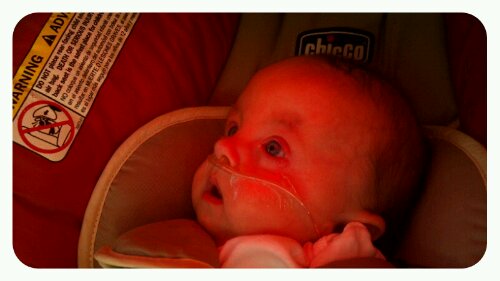 p20121024-061902.jpg image