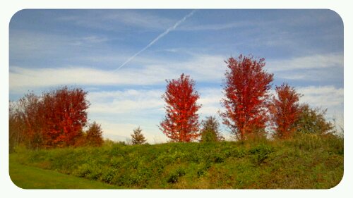 p20121024-061926.jpg image