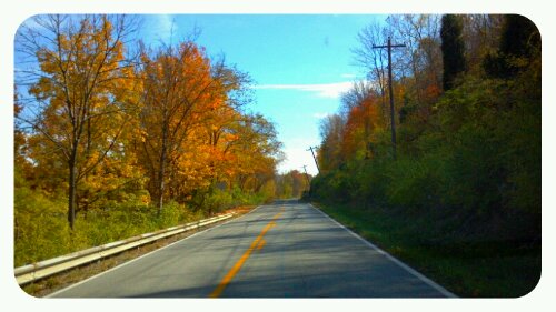 p20121024-061953.jpg image