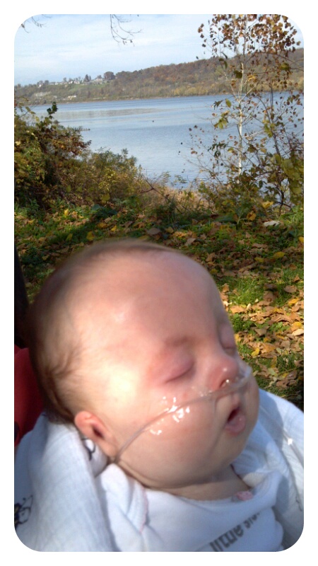 p20121024-062059.jpg image