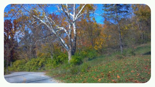 p20121024-062143.jpg image