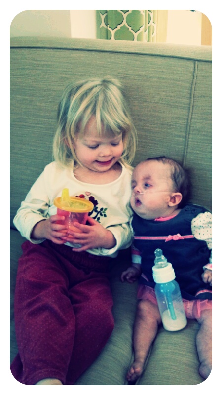 p20121102-222406.jpg image