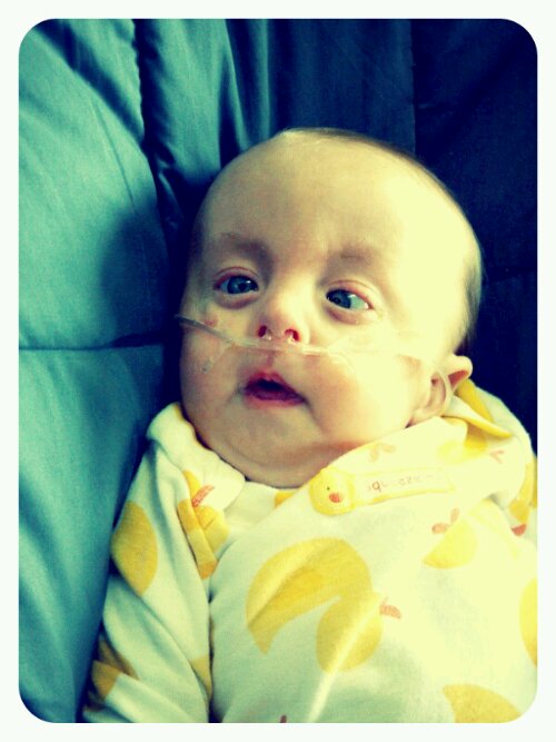 p20121107-230907.jpg image