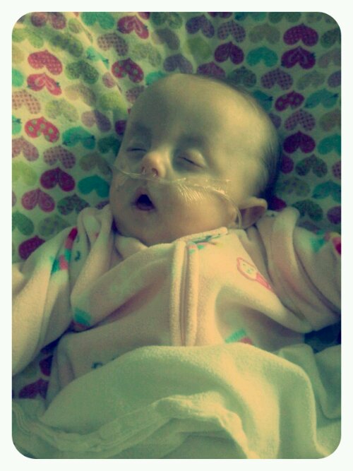 p20121107-231108.jpg image