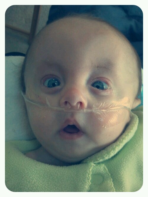 p20121113-221810.jpg image