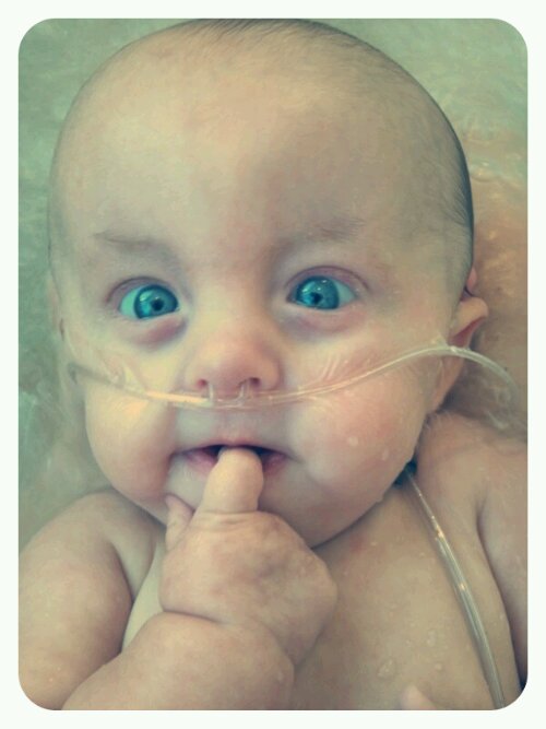 p20121113-221846.jpg image