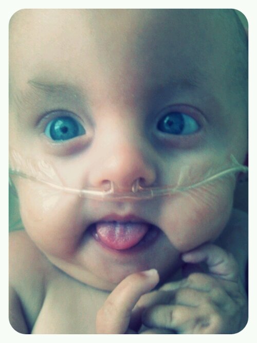 p20121116-230506.jpg image