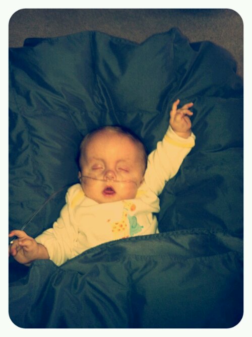 p20121116-232648.jpg image