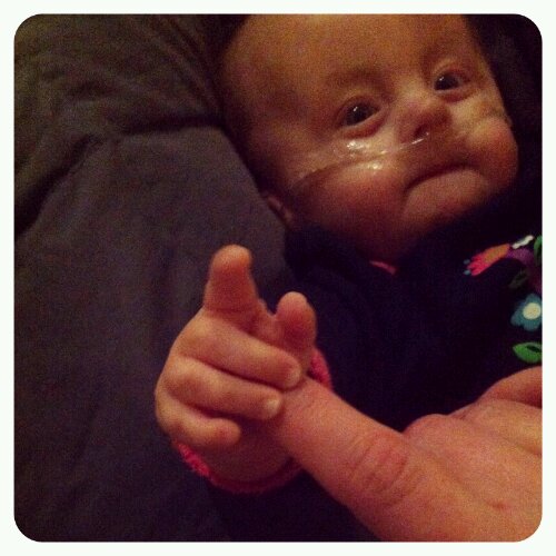 p20121116-232734.jpg image