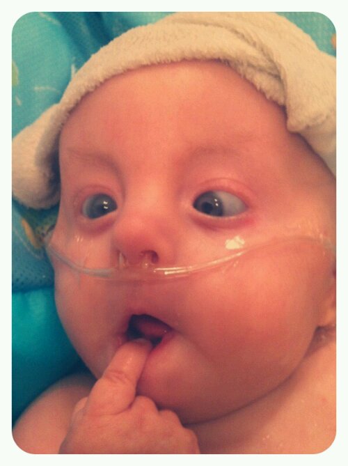 p20121127-020725.jpg image