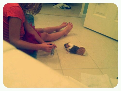 p20121127-020759.jpg image