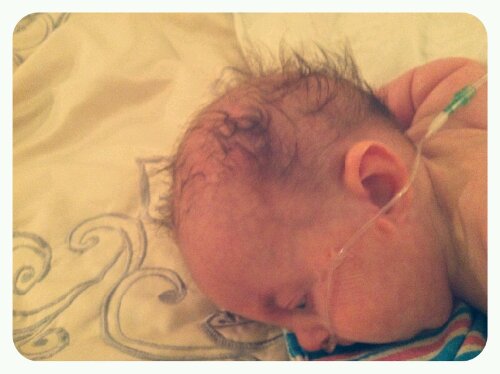 p20121127-020852.jpg image