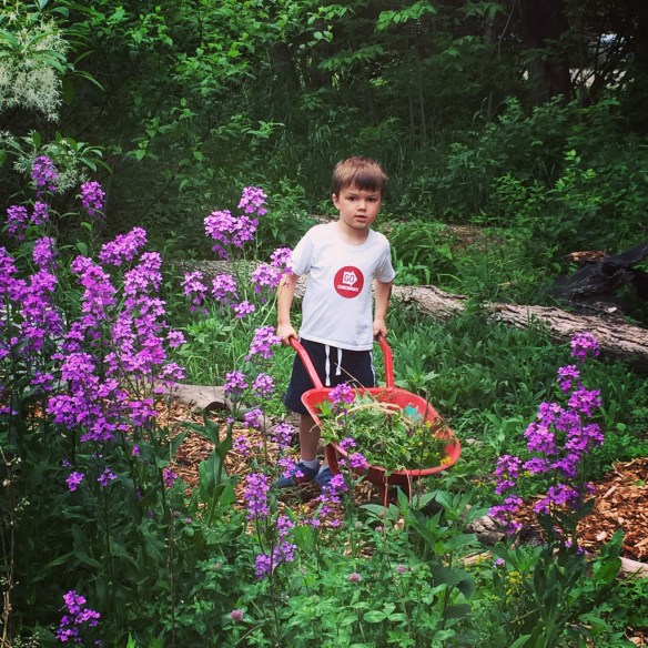 This cute little guy at #GoCincinnati! :)